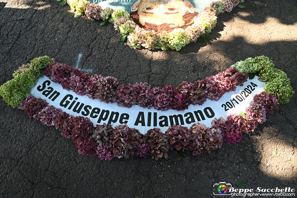 VBS_9945 - Infiorata Santuario della Madonnina di Villanova d'Asti 2024.jpg